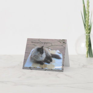 Erinnerungen-Katzenausweis Karte