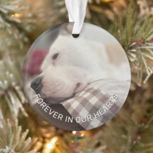 Erinnerungsandenken Pfotenabdrücke in Ihrem Herzen Ornament