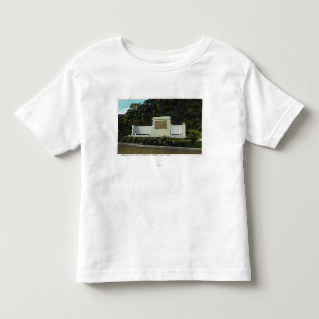 Erinnerungsflachrelief des kompakten kleinkind t-shirt (Vorderseite)