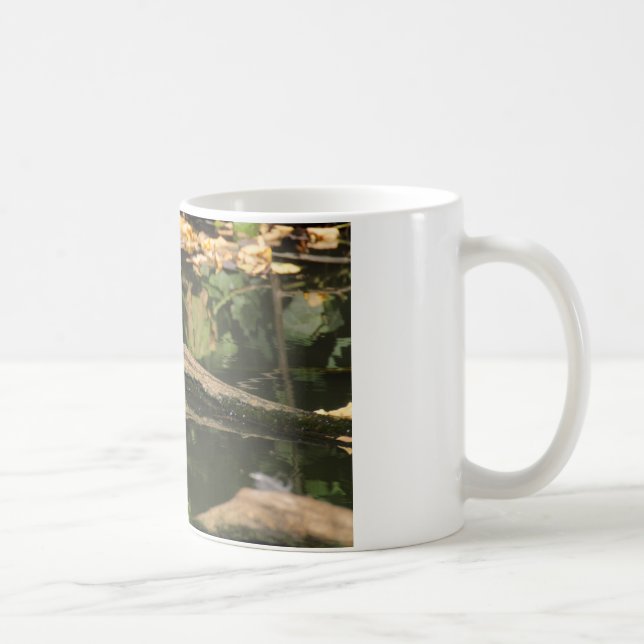 Erithacus rubecula kaffeetasse (Rechts)