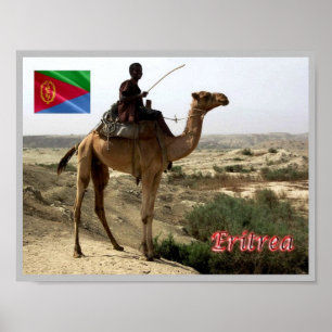 Eritrea - Kamel - Poster