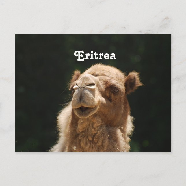 Eritrea Postkarte (Vorderseite)