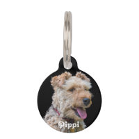 Erkennungsmarke Walisers Terrier