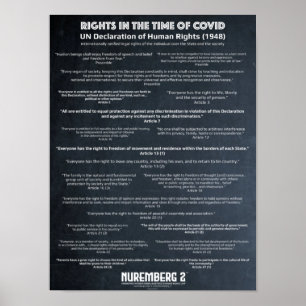Erklärung der Vereinten Nationen zu den Menschenre Poster