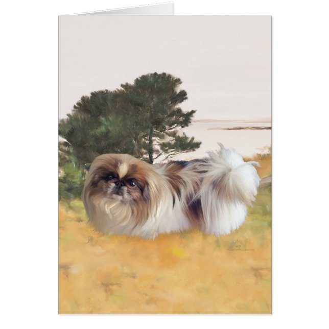 Erkundung der Küste (Vorne)