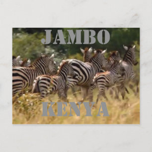 Erleben Sie das Wunder: Kenia-Zebra-Migrationssafa Postkarte