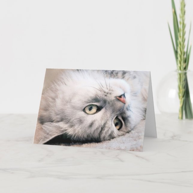 Erleben Sie Ihren Geburtstag wie eine Katze Karte (Vorderseite)