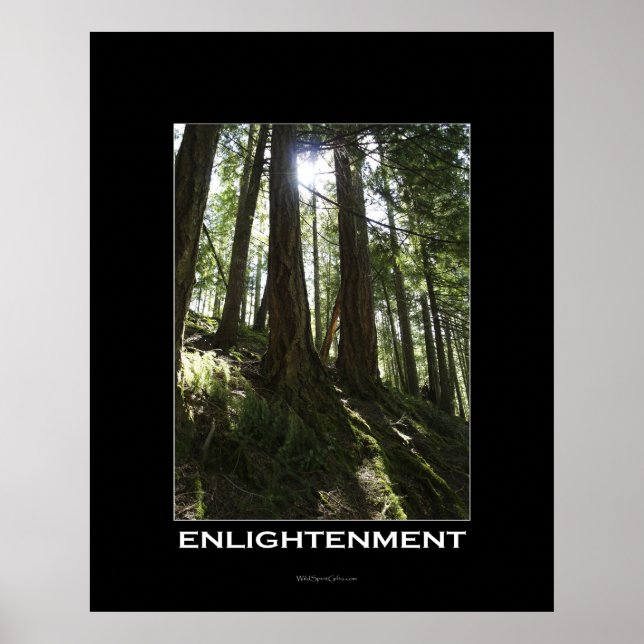 ERLEUCHTUNG Forest Motivierend Foto Poster (Vorne)