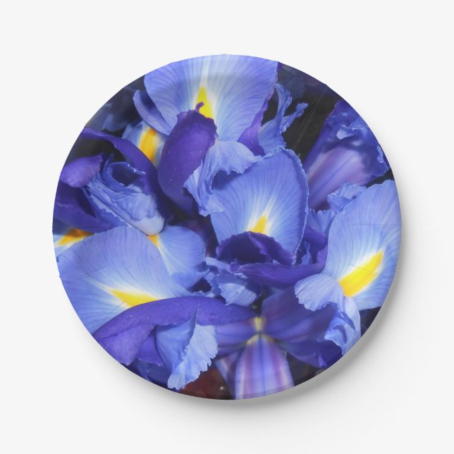 Ermengarde Pappteller (Vorderseite)