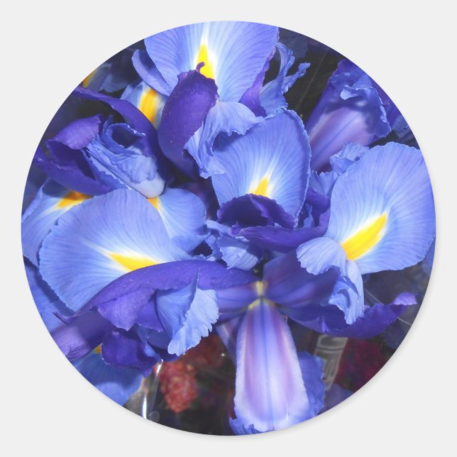 Ermengarde Runder Aufkleber (Vorderseite)