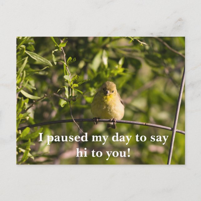 Ermutigende Grußkarte mit gelbem Baby Bird Postkarte (Vorderseite)