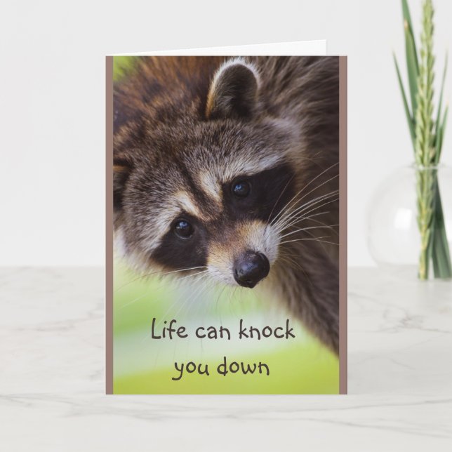Ermutigung Das Leben kann Sie auf die Raccoon-Kart Karte (Vorderseite)