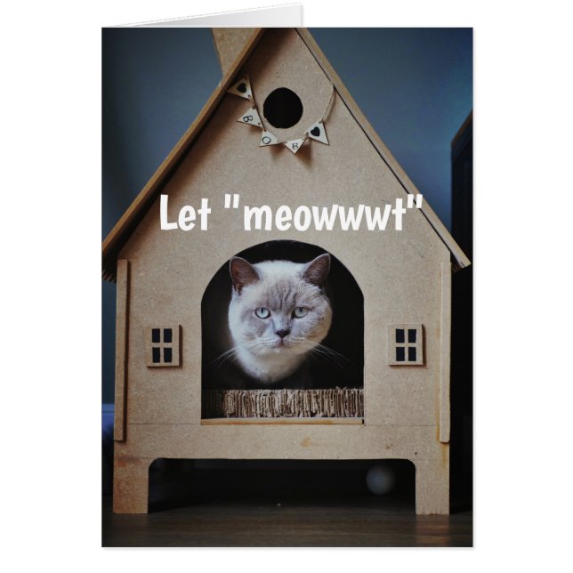 Ermutigung/ Niedliche Katzen suchen (Vorne)