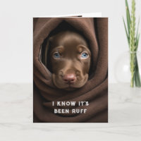 Ermutigung/ Niedliche Schokolade Labrador Hund