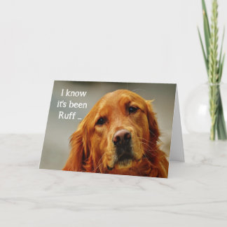 Ermutigung/Niedlicher Golden Retriever Hund Karte