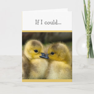 Ermutigung oder Wohlfühl-Ducklings Karte