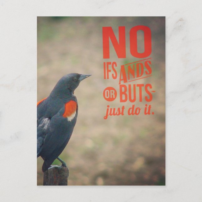 Ermutigung von Blackbird Postkarte (Vorderseite)