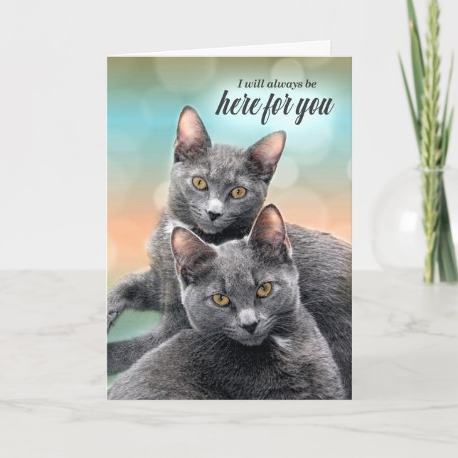Ermutigung von zwei grauen Katzen hier für Sie Karte (Vorderseite)