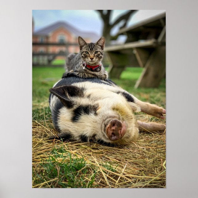 Ernest & Sassy Print! Poster (Vorne)