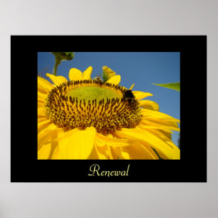 Erneuerungskunst-Druckgeschenke Sonnenblumen-Garte Poster