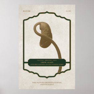 ERNEUT WACHSEN - REIHE ENTWICKLUNGSPOSTER POSTER