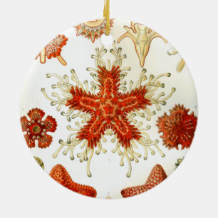 Ernhaeckel-Kunstwerk Keramikornament
