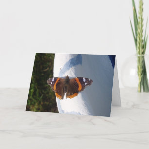 "Ernie the Butterfly" Get Well Card Karte