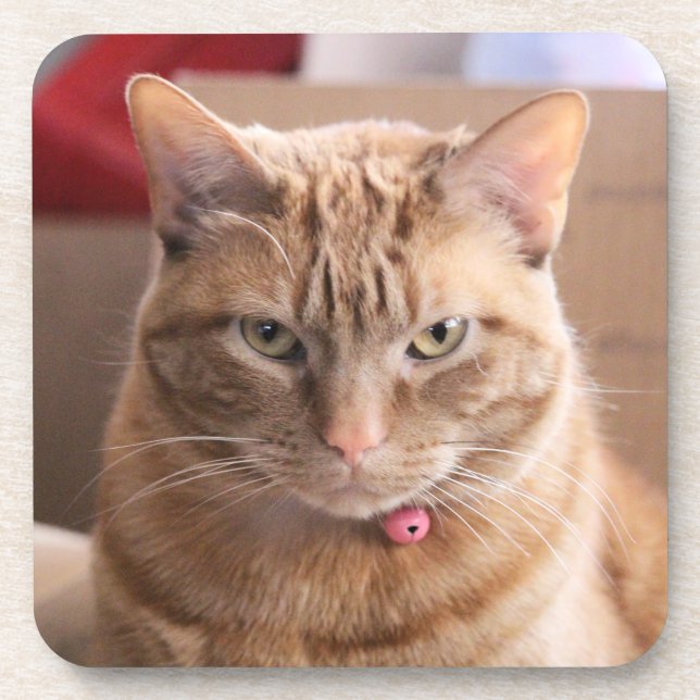 ernst getränkeuntersetzer (Vorderseite)