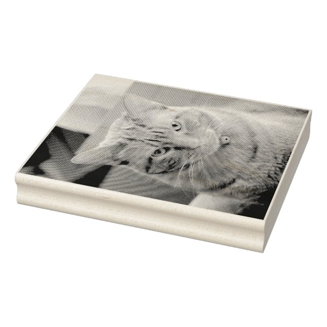 ernst gummistempel (Stempel)