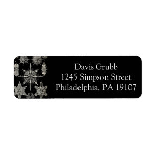 Ernst Haeckel   Acanthophracta