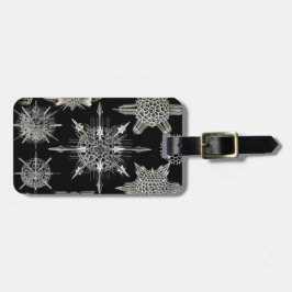 Ernst Haeckel | Acanthophracta Gepäckanhänger