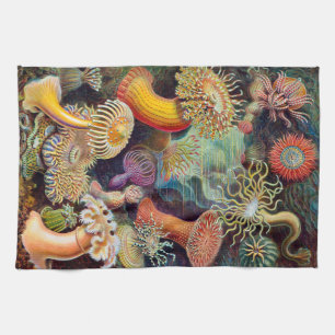 Ernst Haeckel Actiniaea Seeanemone Küchentuch