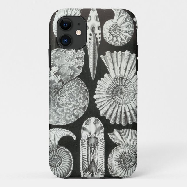 Ernst Haeckel - Ammonitida Case-Mate iPhone Hülle (Rückseite)