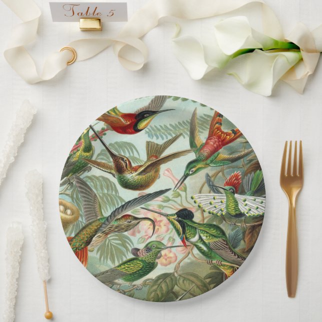 Ernst Haeckel Art Print: Trochilidae Pappteller (Hochzeit)