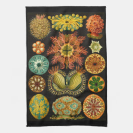 Ernst Haeckel Ascidiae Sea Life Illustration Geschirrtuch
