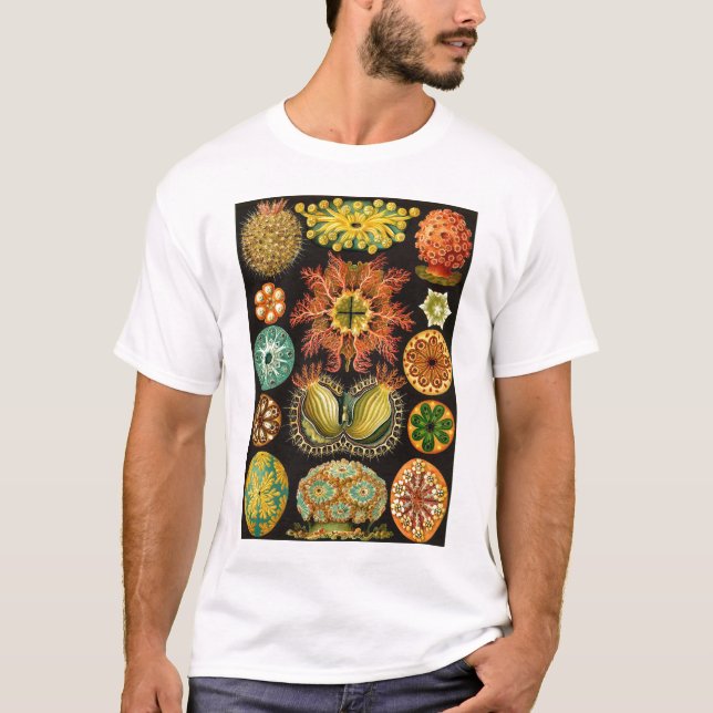 Ernst Haeckel - Ascidiae T-Shirt (Vorderseite)