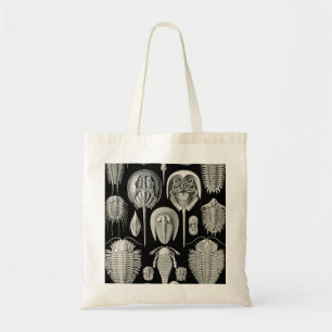 Ernst Haeckel Aspidonia Tragetasche