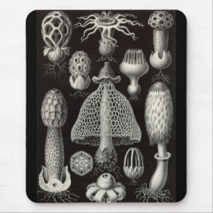 Ernst Haeckel - Basimycetes Pilze Mousepad
