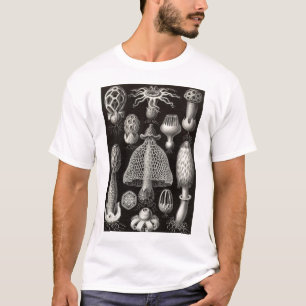 Ernst Haeckel - Basimycetes Pilze T-Shirt