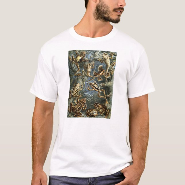 Ernst Haeckel - Batrachia T-Shirt (Vorderseite)