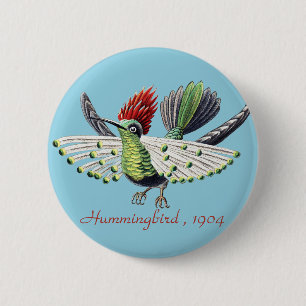 Ernst Haeckel Bunte Kolibris Natur Kunst Button