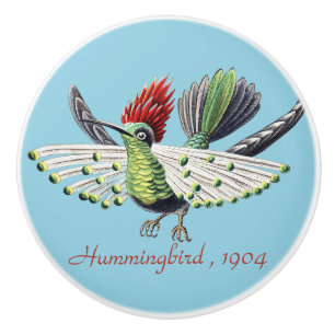 Ernst Haeckel Bunte Kolibris Natur Kunst Keramikknauf