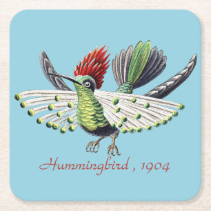 Ernst Haeckel Bunte Kolibris Natur Kunst Rechteckiger Pappuntersetzer