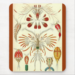 Ernst Haeckel - Copepoda Mousepad