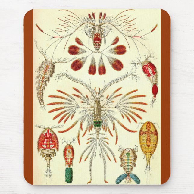 Ernst Haeckel - Copepoda Mousepad (Vorne)