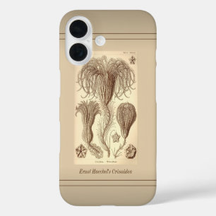 Ernst Haeckel Crinoids - Vollständige Seite iPhone 16 Hülle