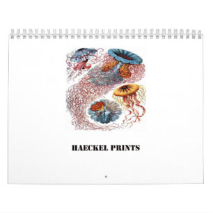 Ernst Haeckel-Drucke Kalender