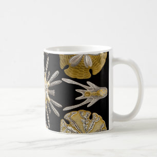 Ernst Haeckel Echinidea Seeigel Kaffeetasse