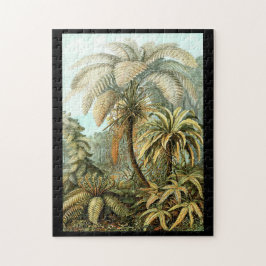 Ernst Haeckel Filicinae