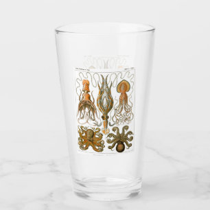 Ernst Haeckel Gamochonia, Oktopus, Tintenfisch Glas